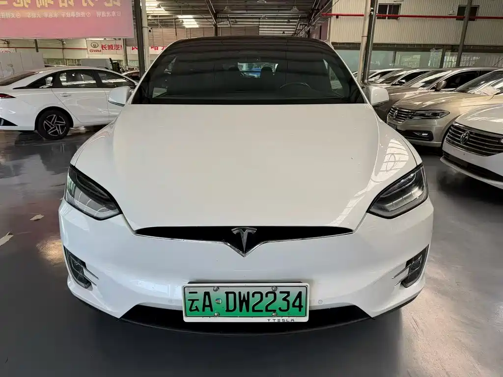 Tesla Model X 2019 — фото 2