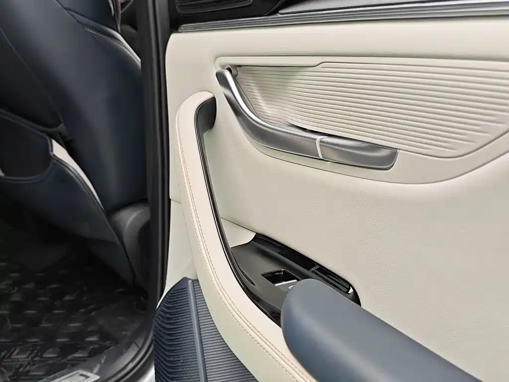 BYD PLUS New Energy 2023 — фото 13