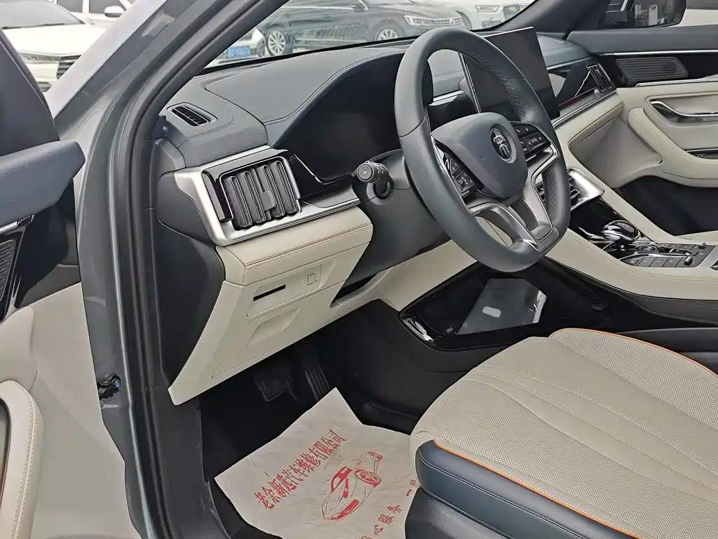 BYD PLUS New Energy 2023 — фото 4