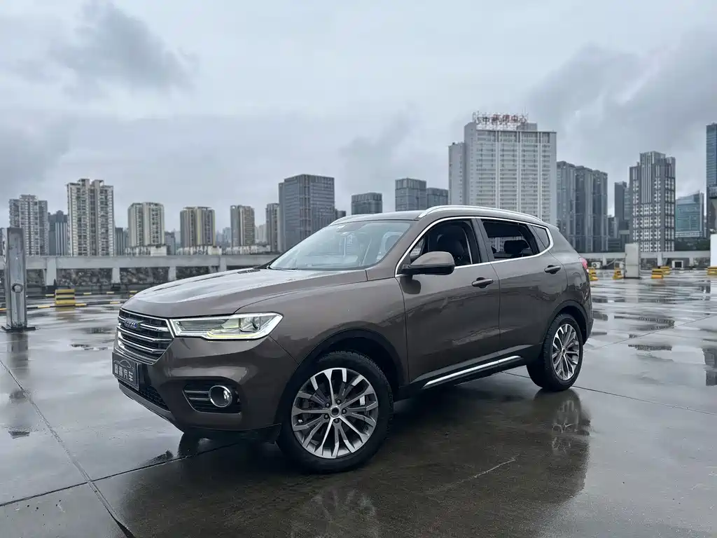 Haval H6 2017 — фото 10