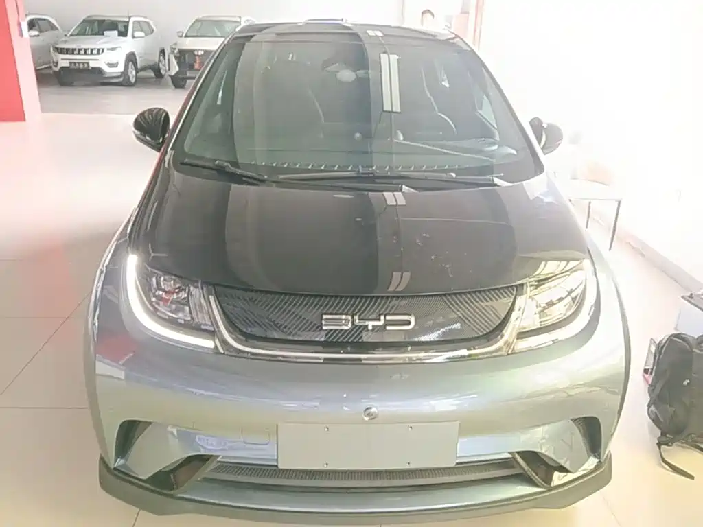 BYD Dolphin 2023