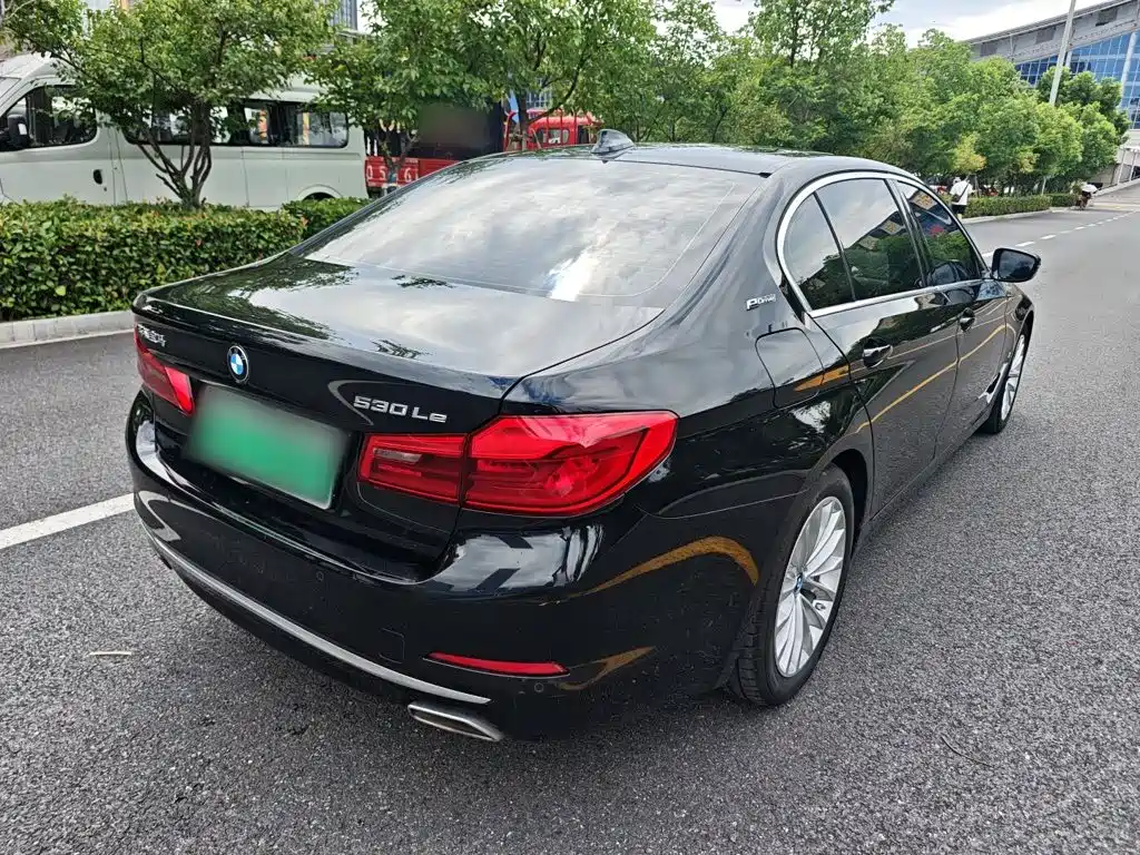BMW 5 Series New Energy 2019
