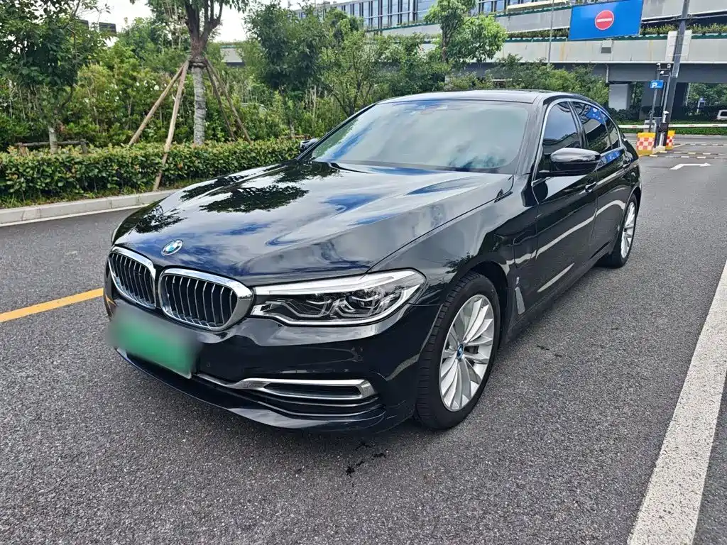 BMW 5 Series New Energy 2019
