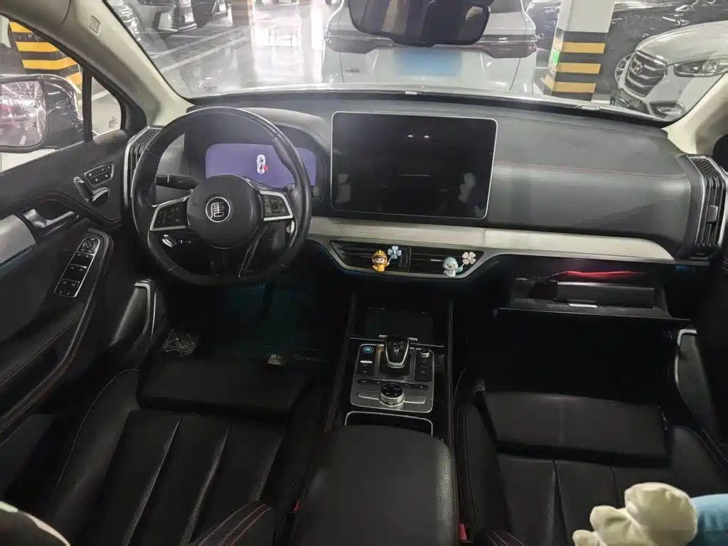 BYD Tang New Energy 2019 — фото 13