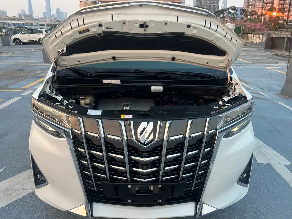 Toyota Alphard 2018 — фото 18