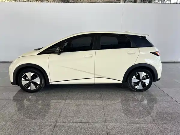 BYD Dolphin 2024
