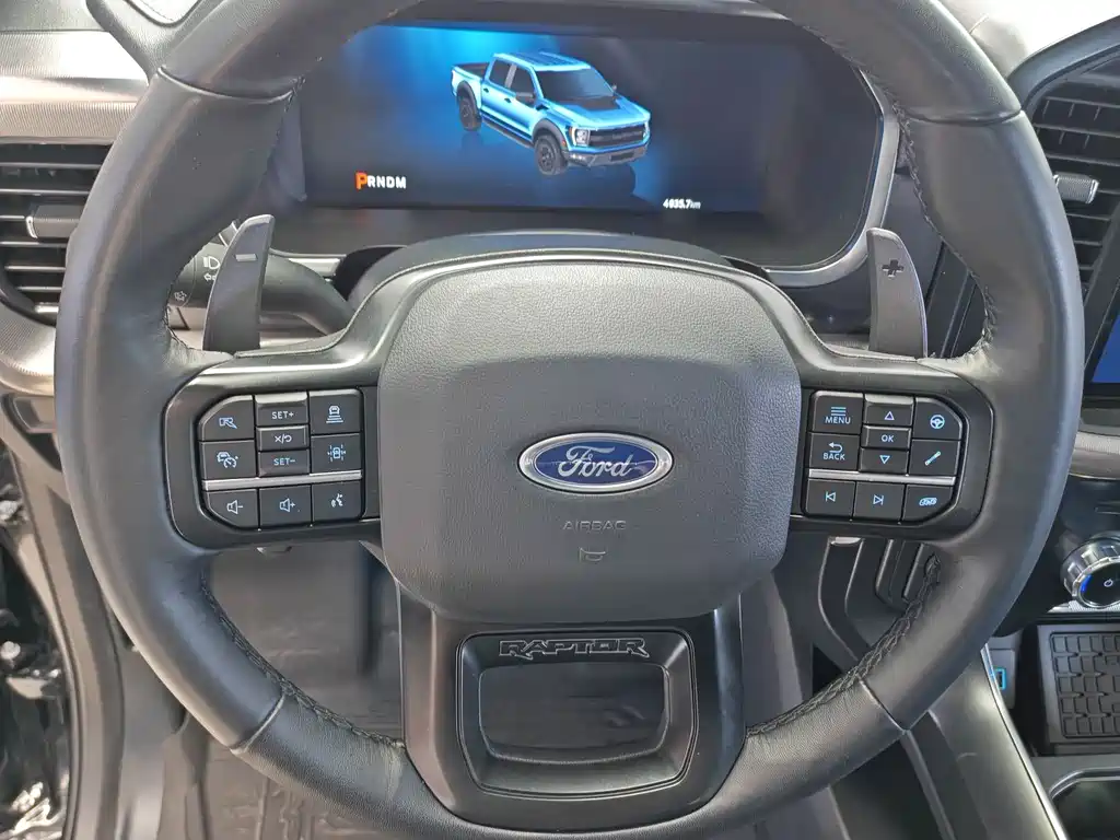Ford F-150 Raptor 2024 — фото 13