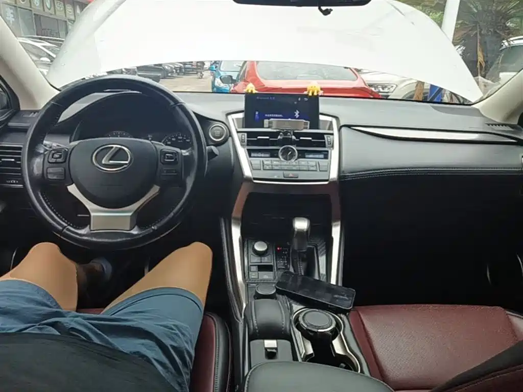 Lexus NX 2016 — фото 10