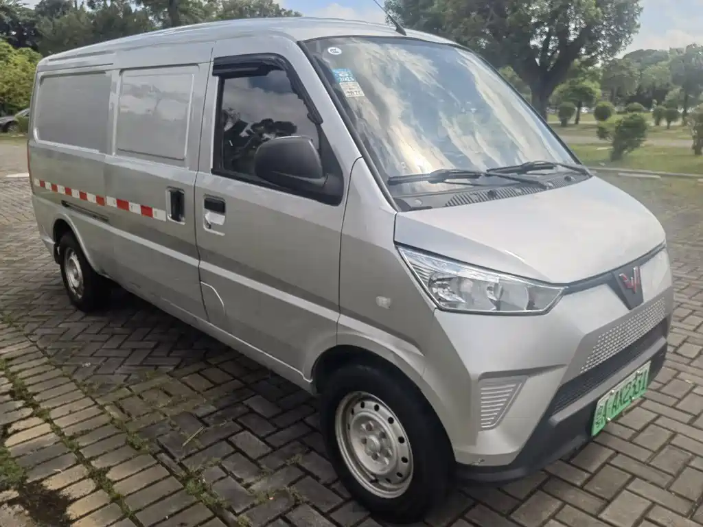 Wuling EV50 2022