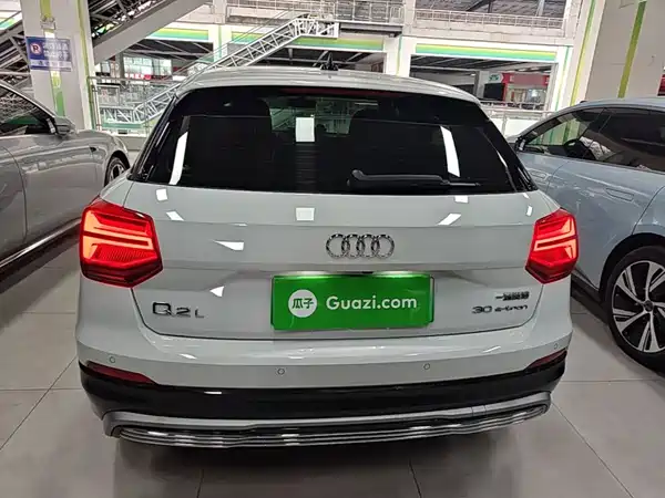 Audi Q2L E-Tron 2021