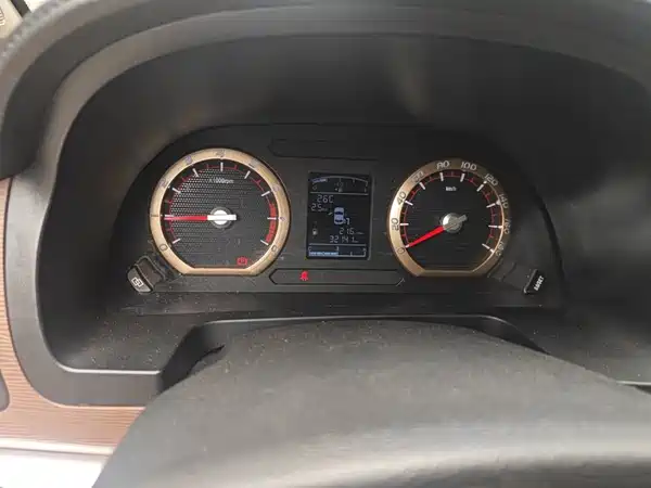 Dongfeng Lingzhi 2019