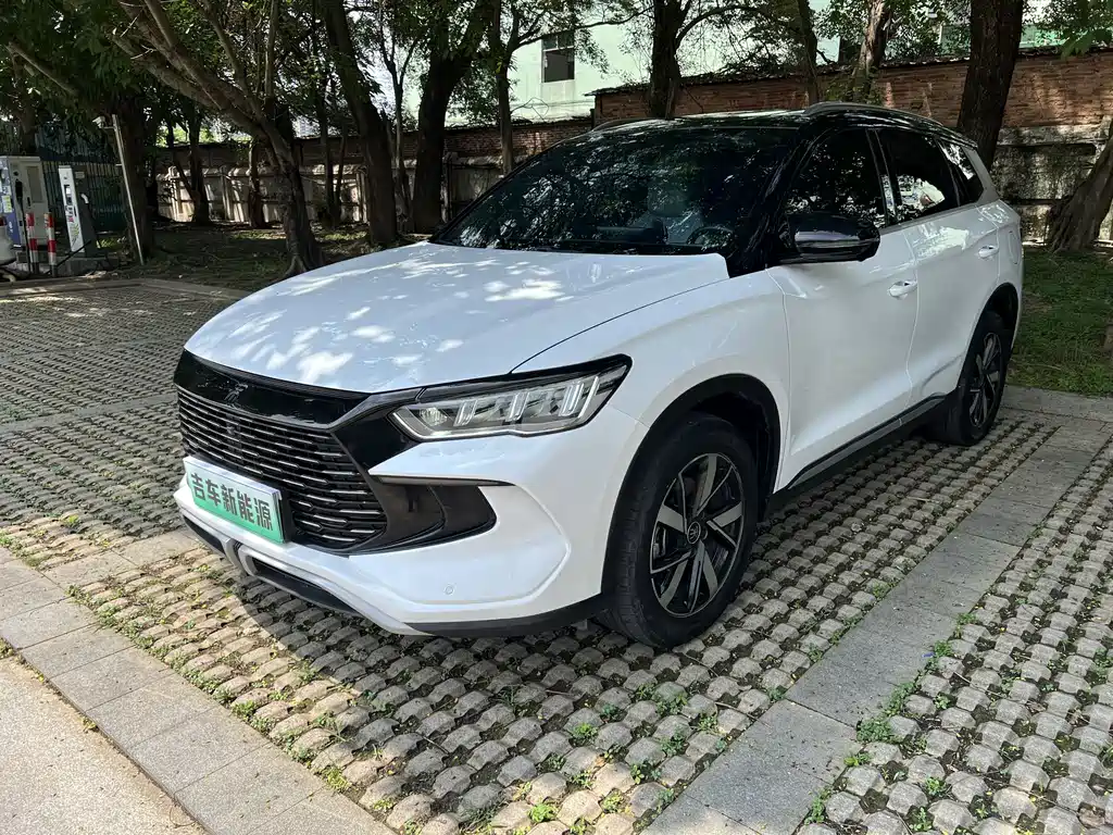 BYD Pro New Energy 2024 — фото 1