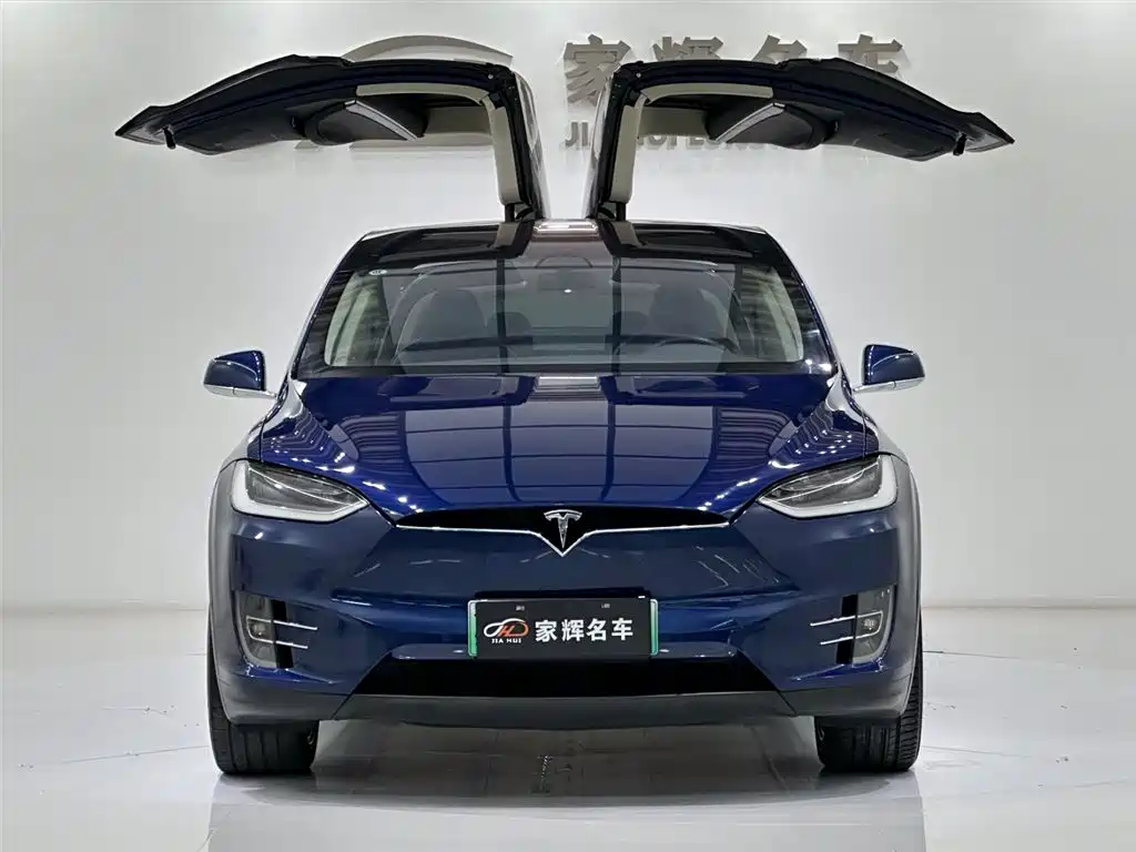 Tesla Model X 2018 — фото 3