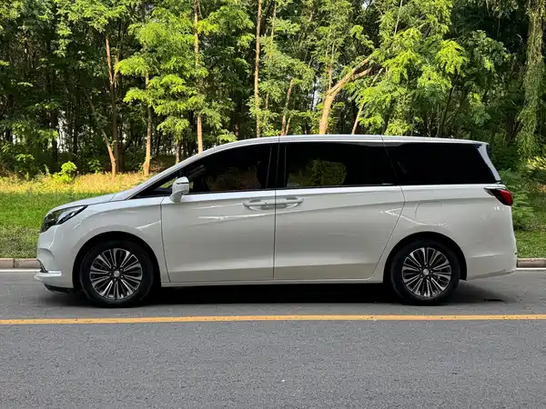 Buick GL8 2021