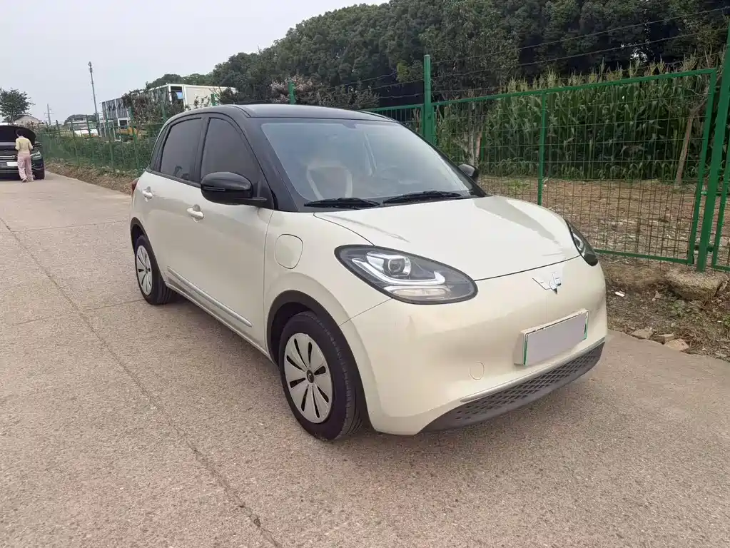 Wuling Bingo 2024