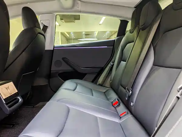 Tesla Model 3 2025