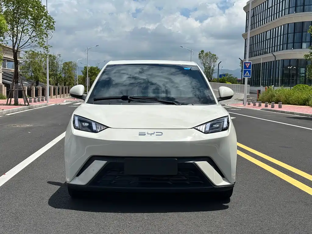 BYD Seagull 2024