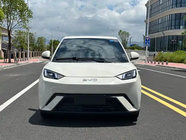BYD Seagull 2024