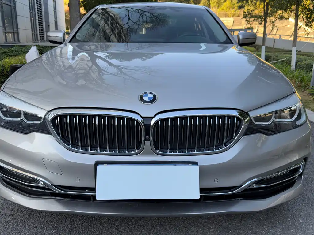 BMW 5 Series 2018 — фото 12