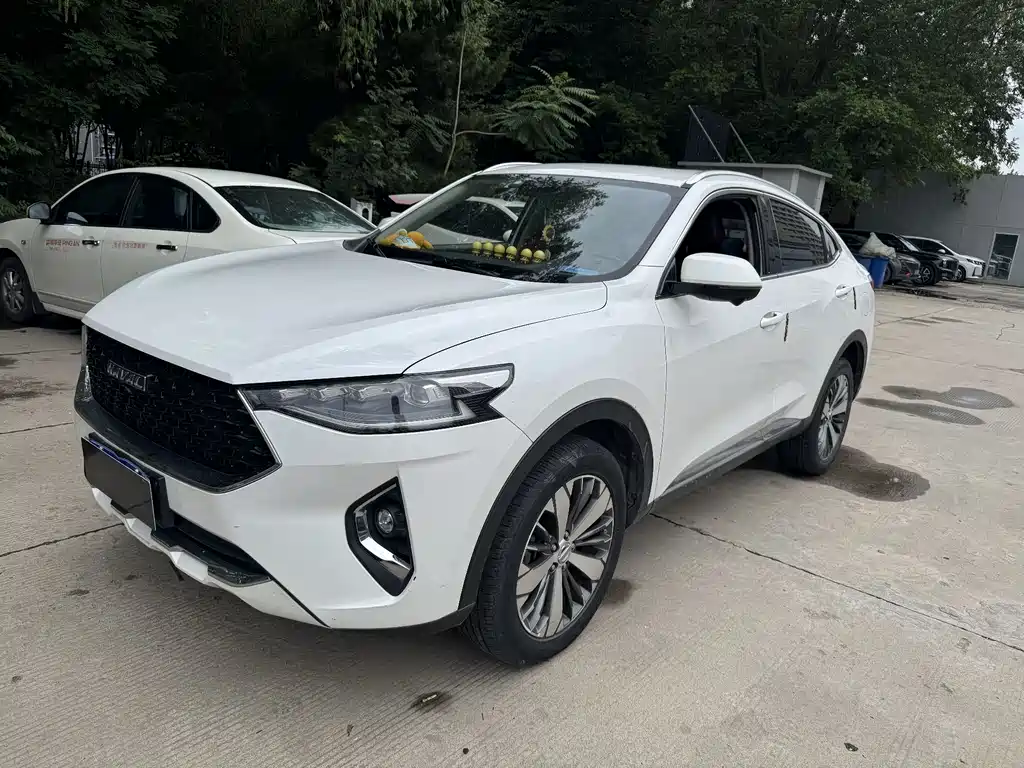 Haval F7x 2019 — фото 1
