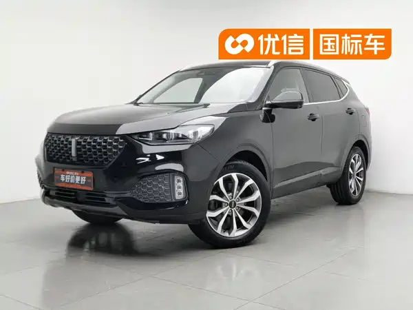 Wey VV6 2020