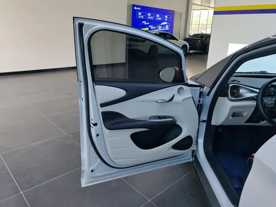 BYD Dolphin 2022