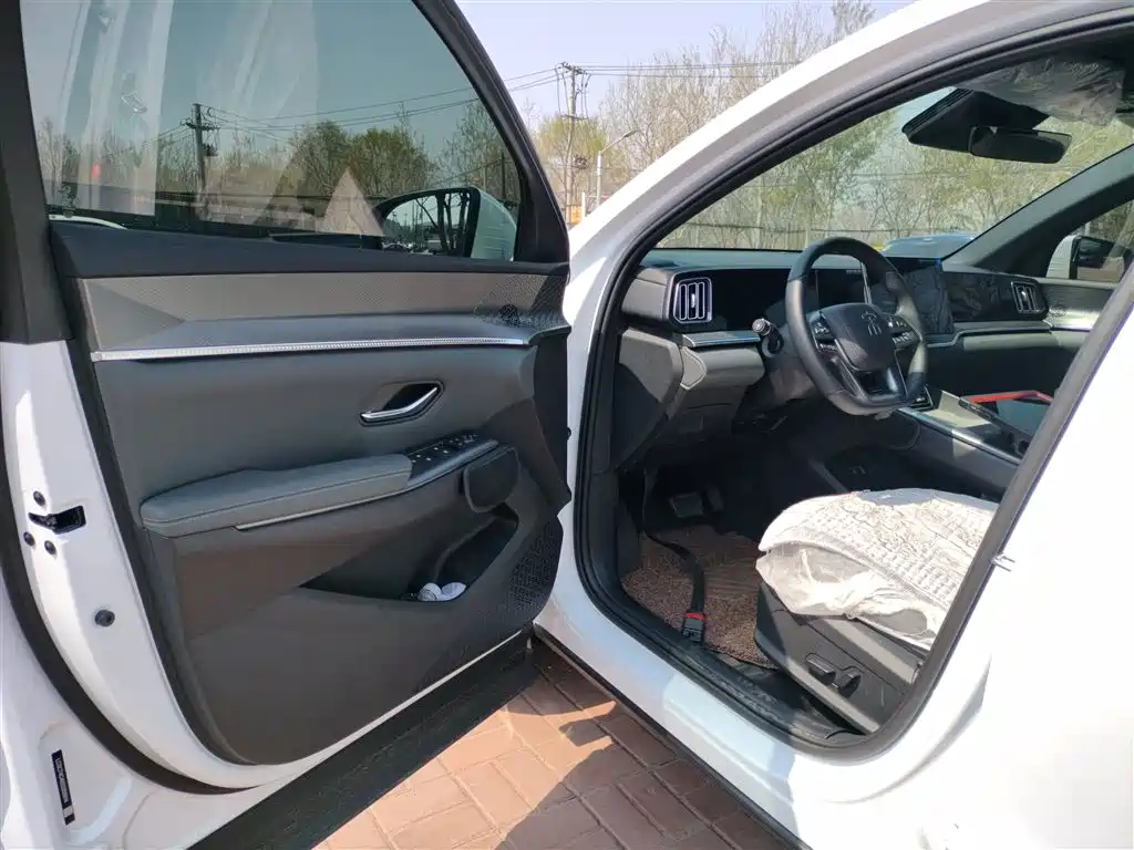 BYD Pro New Energy 2025 — фото 16