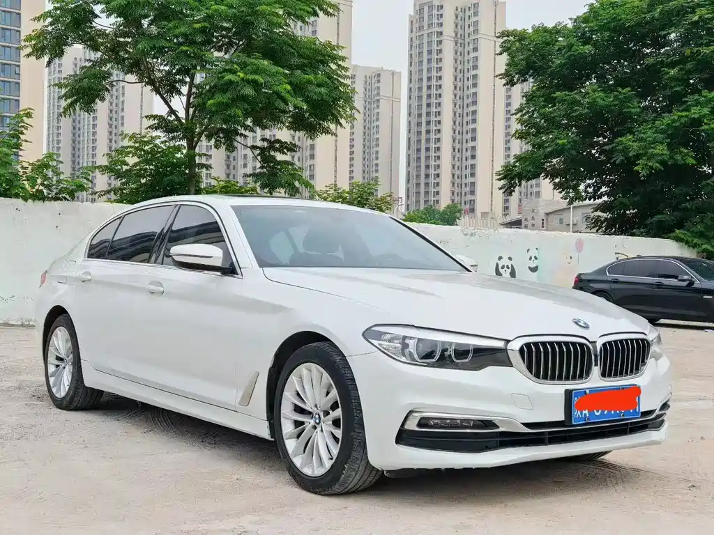 BMW 5 Series 2019