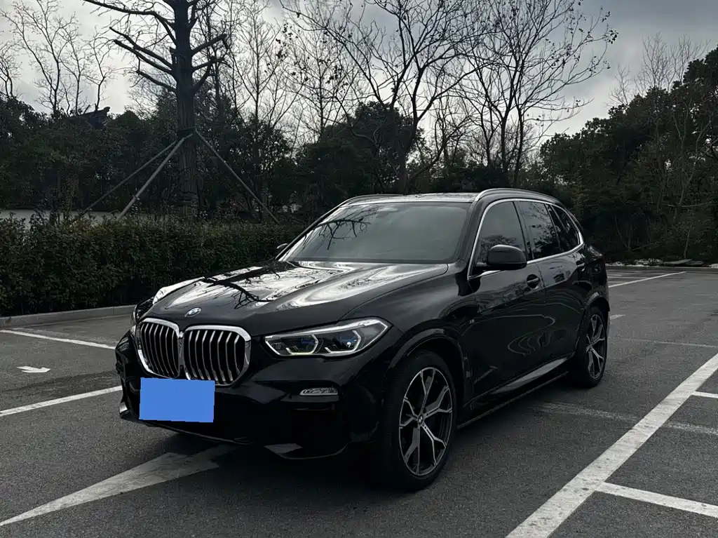 BMW X5 2019 — фото 1