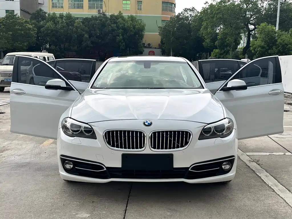 BMW 5 Series 2016 — фото 10