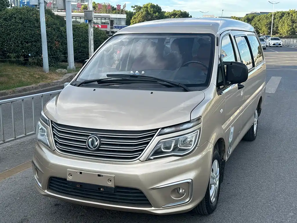 Dongfeng Lingzhi 2019