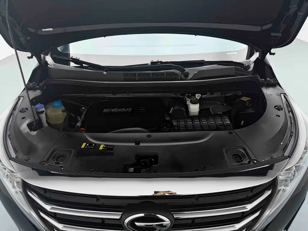 GAC Trumpchi M8 2024 — фото 13