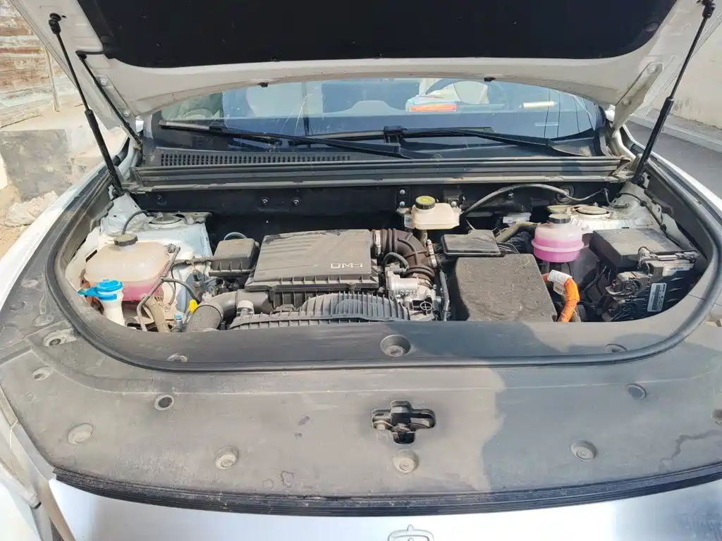 BYD Song Pro New Energy 2024 — фото 21