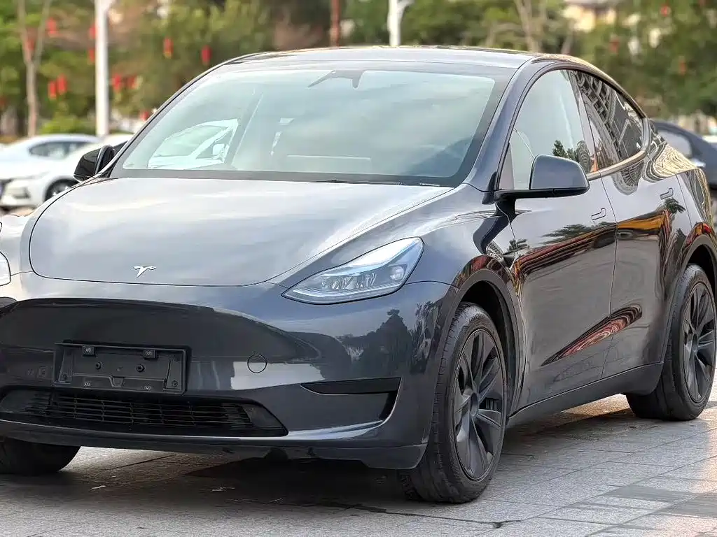 Tesla Model Y 2024 — фото 1