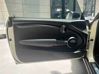 MINI MINI 2022