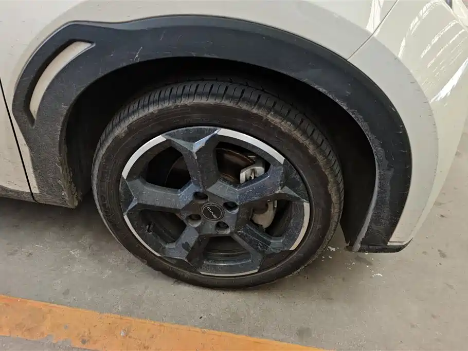 BYD Seagull 2024