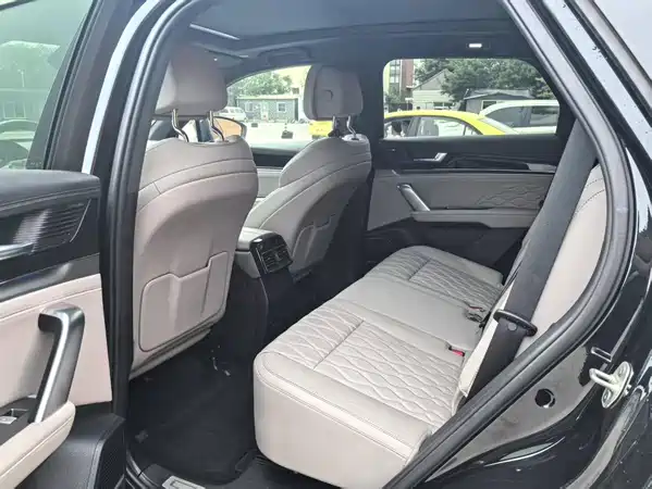 BYD Tang New Energy 2024