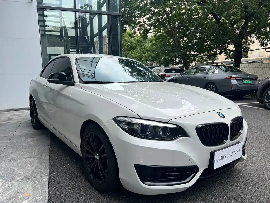 BMW 2 Series 2019