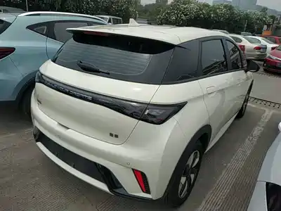 BYD Dolphin 2024