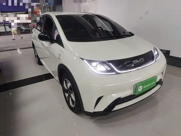 BYD Dolphin 2026