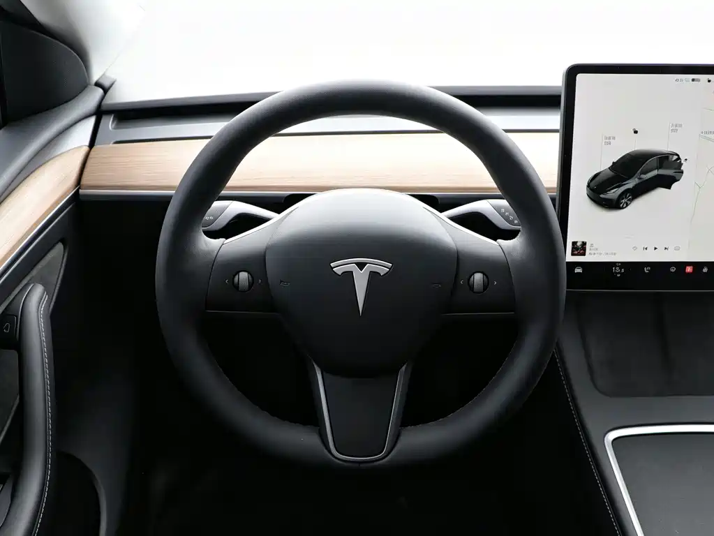 Tesla Model Y 2021 — фото 10