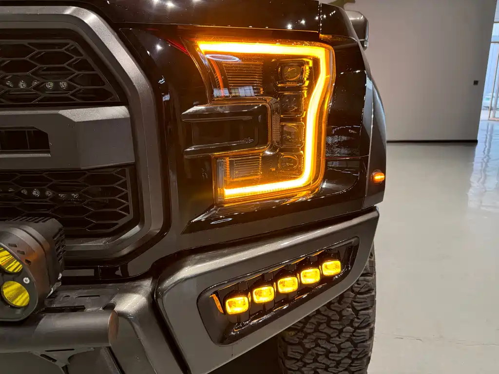 Ford F-150 Raptor 2019 — фото 9