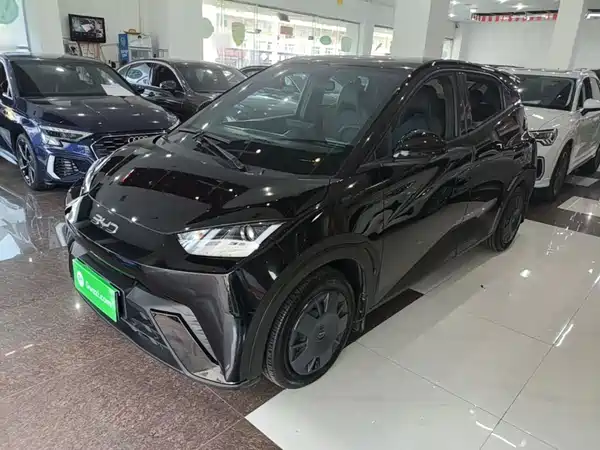 BYD Seagull 2025