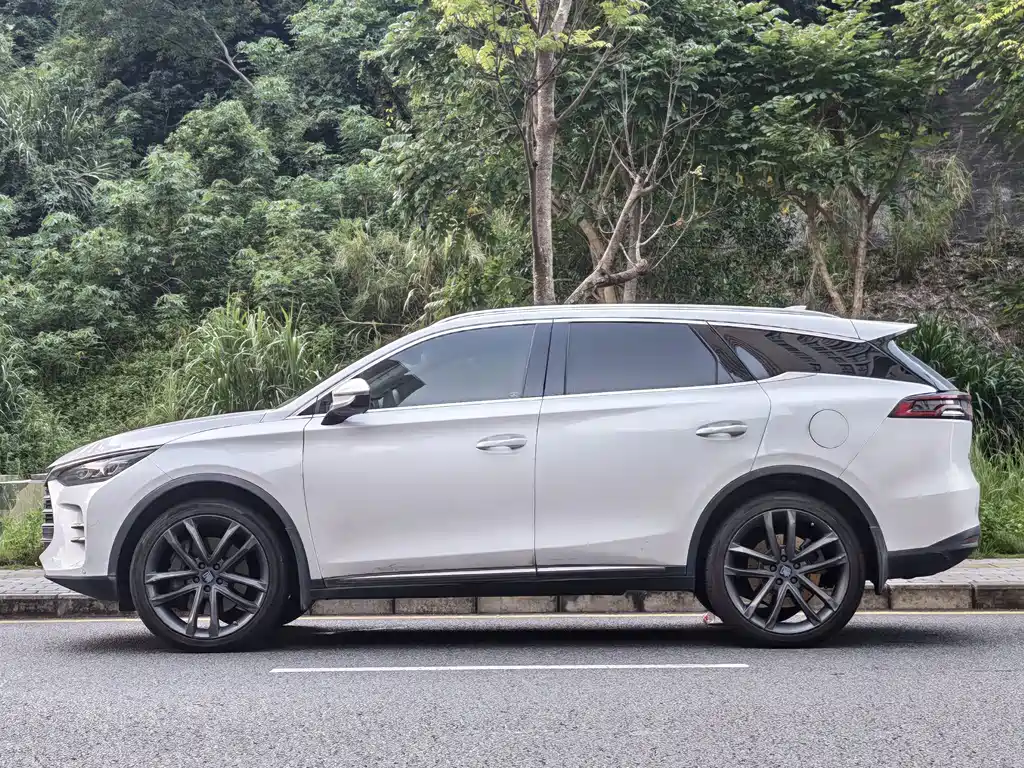 BYD Tang New Energy 2018 — фото 4