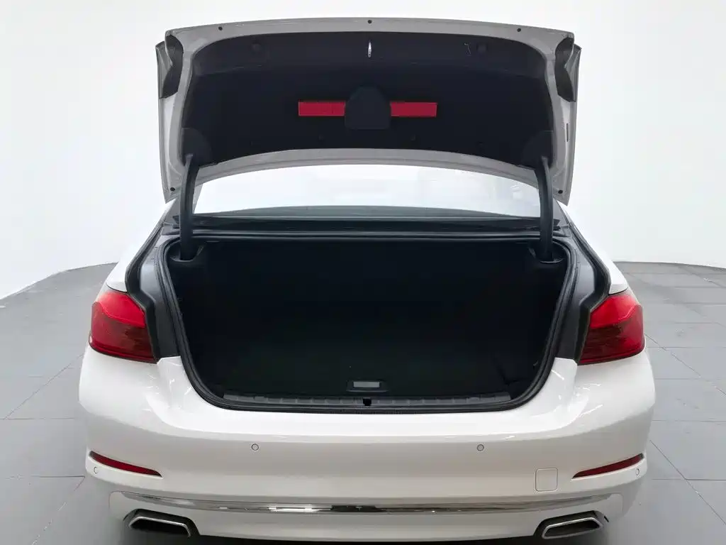 BMW 5 Series New Energy 2018