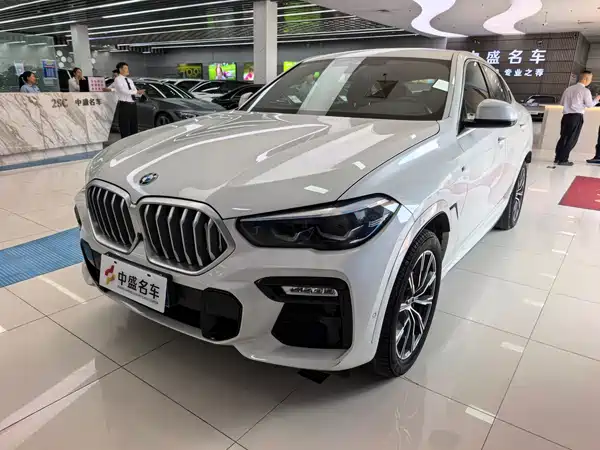 BMW X6 2020