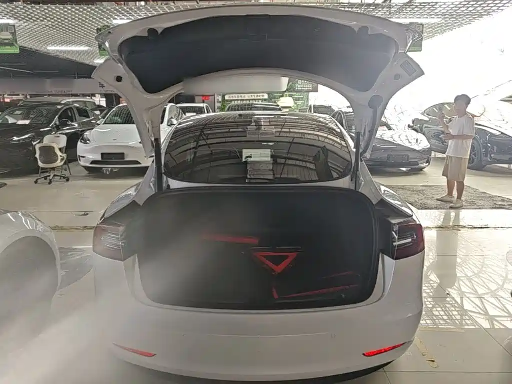 Tesla Model 3 2021 — фото 19