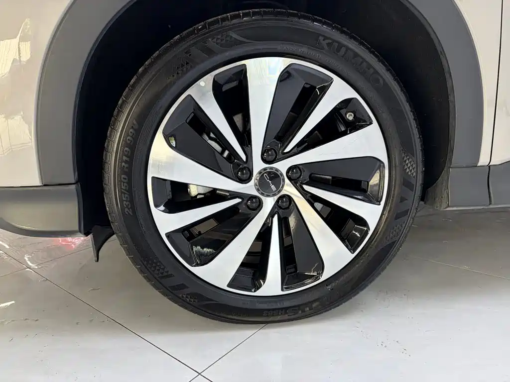 BYD Song PLUS New Energy 2024 — фото 9