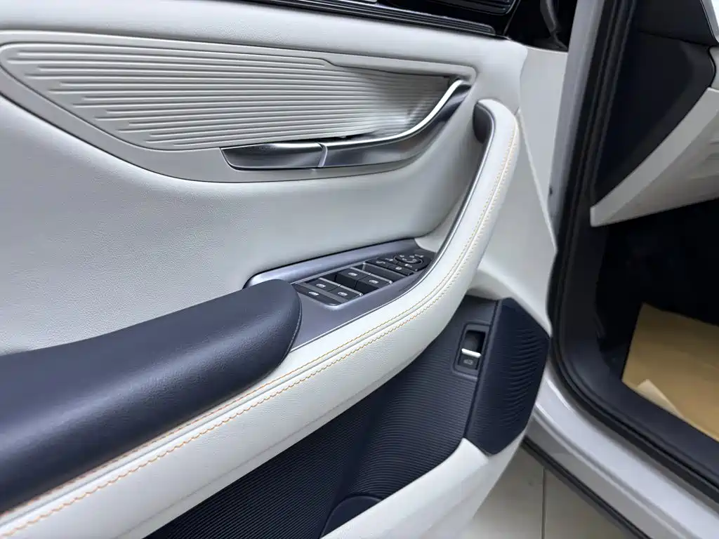 BYD Song PLUS New Energy 2024 — фото 10