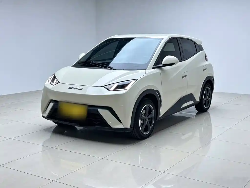 BYD Seagull 2024